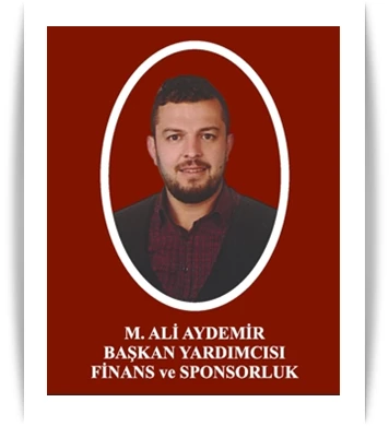 Mehmet Ali Aydemir